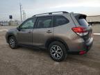 2019 Subaru Forester Premium for Sale in Temple, TX - Hail
