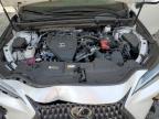 2022 Lexus Nx 350   for Sale in Augusta, GA - Front End