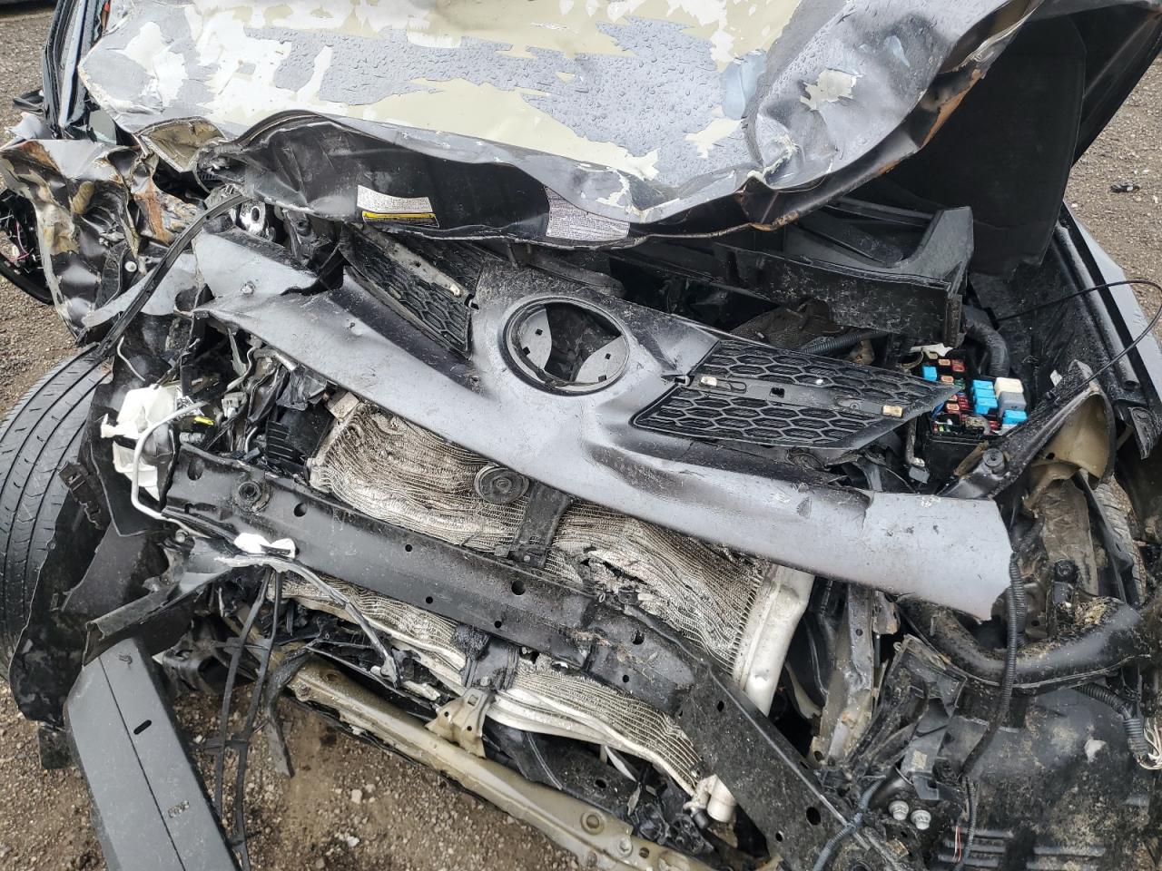 2014 Toyota Rav4 Limited VIN: 2T3DFREV7EW194540 Lot: 55091315