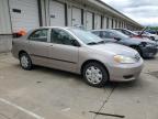 2003 Toyota Corolla Ce   продається в Louisville, KY - Side