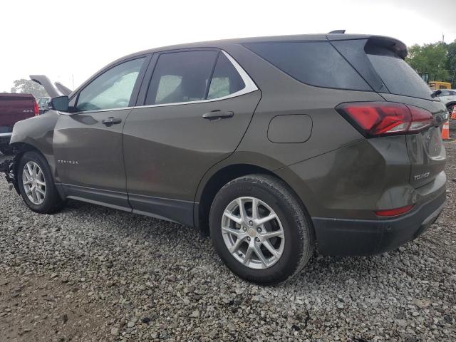  CHEVROLET EQUINOX 2024 Коричневий