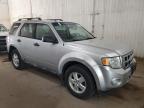2012 Ford Escape Xlt for Sale in Ham Lake, MN - Front End