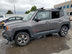 2019 Jeep Renegade Trailhawk for Sale in Littleton, CO - Hail