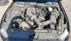 2016 FORD MUSTANG    à vendre chez Copart MD - BALTIMORE EAST