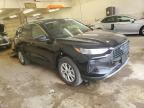 Ham Lake, MN에서 판매 중인 2024 Ford Escape Active - Front End