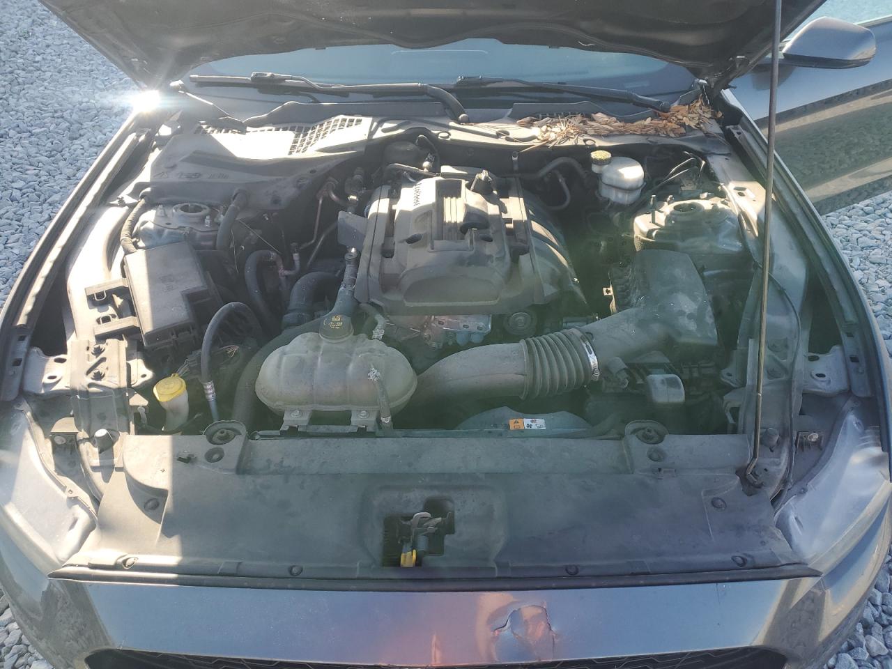 2017 Ford Mustang VIN: 1FA6P8TH3H5202051 Lot: 53788085