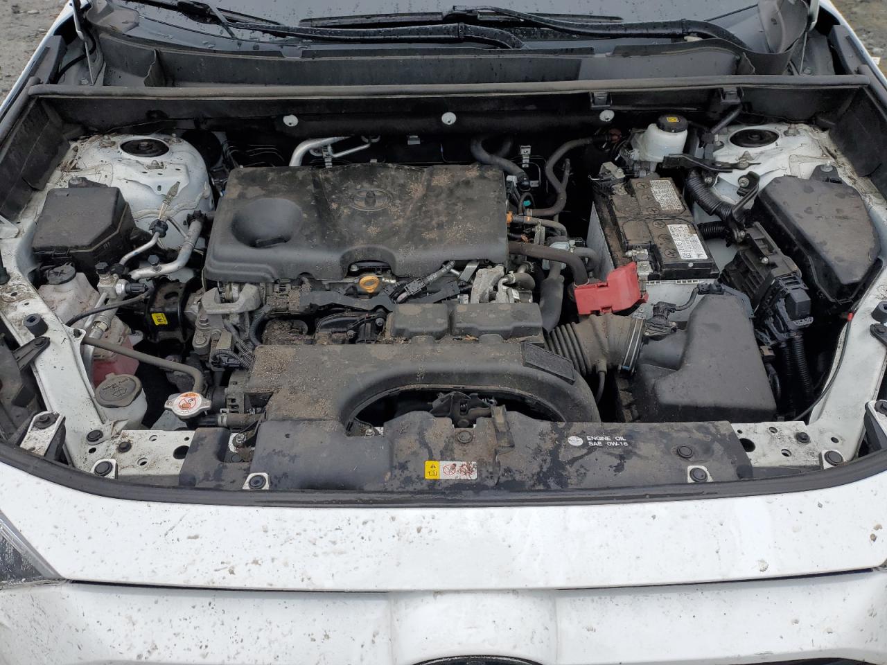 2021 Toyota Rav4 Xle VIN: 2T3P1RFV3MC255635 Lot: 58304975