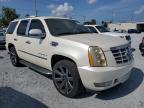 Riverview, FL에서 판매 중인 2009 Cadillac Escalade Luxury - Water/Flood