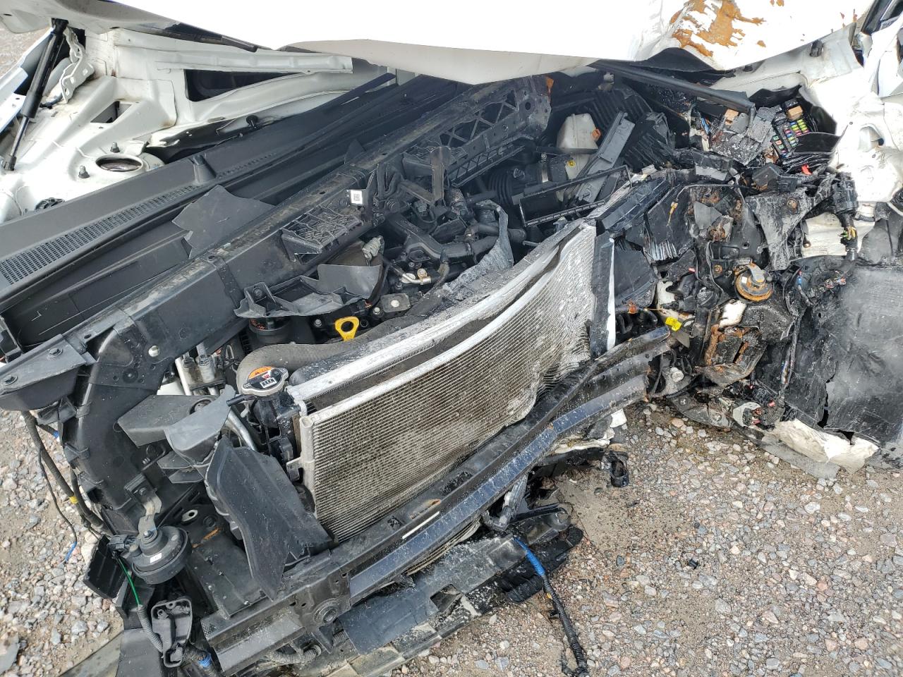 2020 Hyundai Palisade Sel VIN: KM8R44HE8LU063343 Lot: 58798975