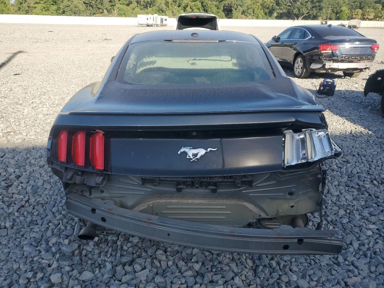 2017 Ford Mustang VIN: 1FA6P8TH3H5202051 Lot: 53788085