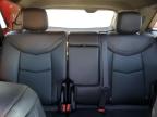 2023 Cadillac Xt5 Premium Luxury na sprzedaż w Albuquerque, NM - Rear End