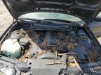 1999 Bmw 323 I Automatic за продажба в Newton, AL - Top/Roof