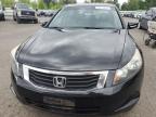 2009 Honda Accord Exl for Sale in Portland, OR - Side