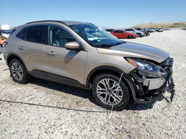  FORD ESCAPE 2020 Beżowy