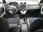 2007 Honda Cr-V Ex for Sale in Northfield, OH - Rear End