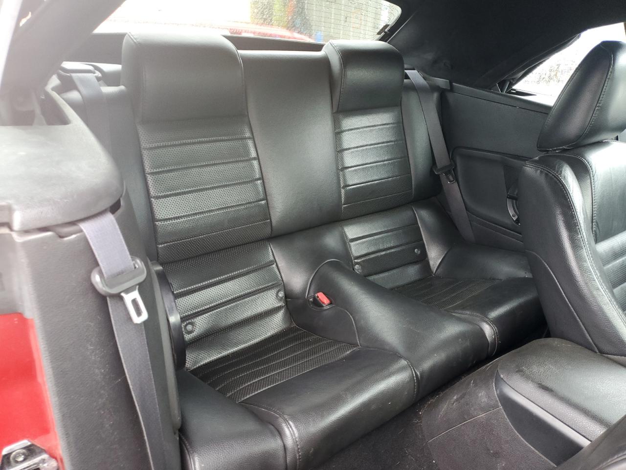 2008 Ford Mustang Gt VIN: 1ZVHT85HX85156503 Lot: 57903735