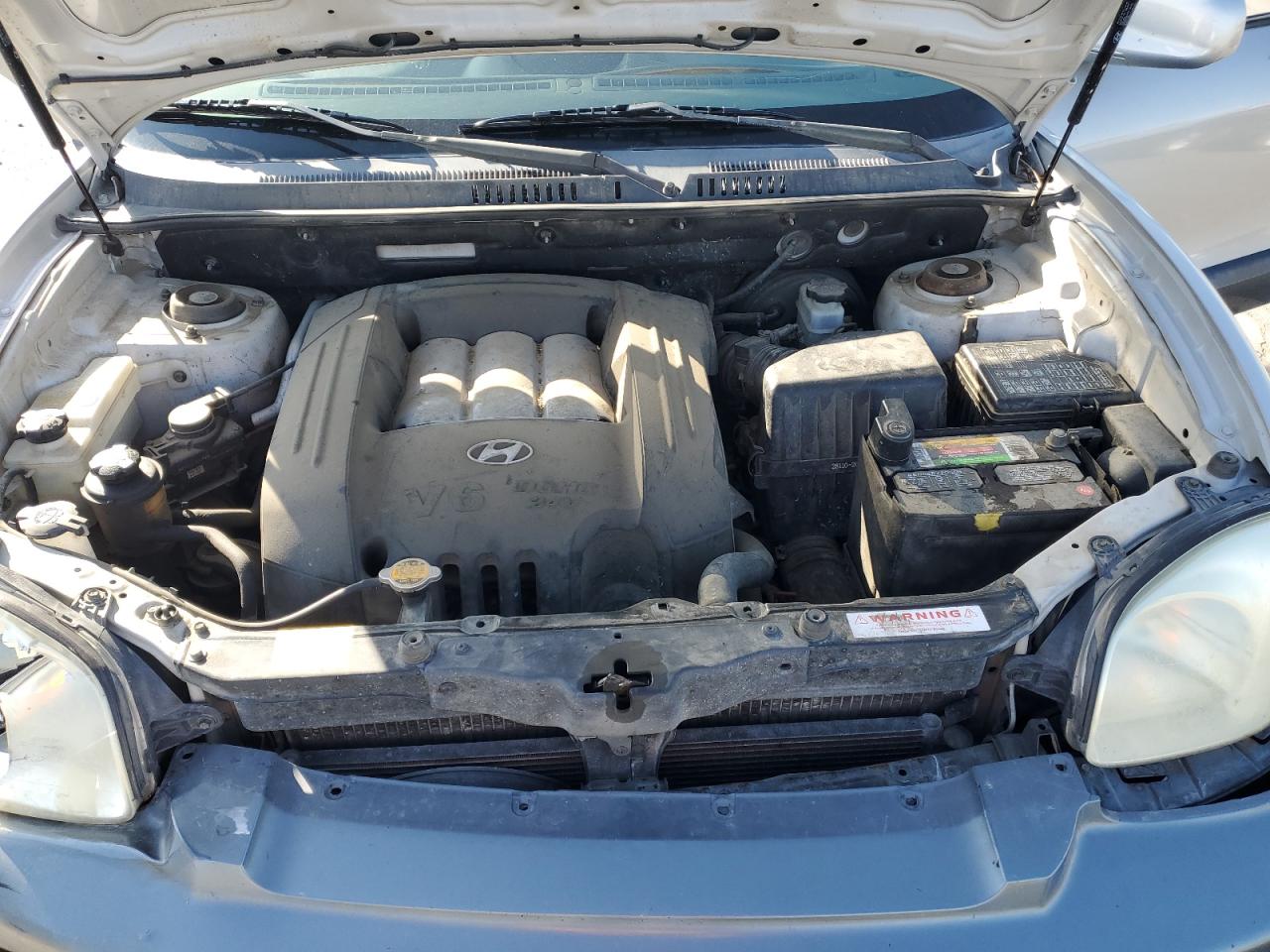 2004 Hyundai Santa Fe Gls VIN: KM8SC13D74U812202 Lot: 54954965