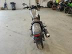 2023 Honda Cmx500  for Sale in Center Rutland, VT - Side