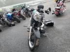 2010 Harley-Davidson Flstfb    на продаже в Finksburg, MD - Front End