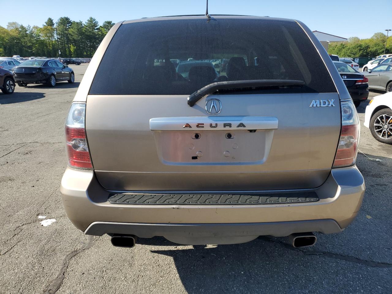 2004 Acura Mdx Touring VIN: 2HNYD18974H545821 Lot: 56370685