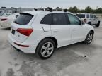 2012 Audi Q5 Premium Plus zu verkaufen in Fort Pierce, FL - Minor Dent/Scratches