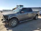2013 Ford F150 Supercrew продається в Nisku, AB - Front End
