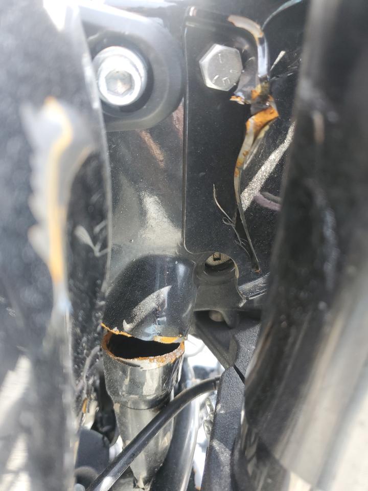 2023 Harley-Davidson Fxlrst VIN: 1HD1YXZ11PB058360 Lot: 55484195