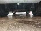 2018 IVEC STRALIS (M for sale at Copart NEWBURY