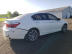 2013 Honda Accord Sport for Sale in Columbia Station, OH - Rear End