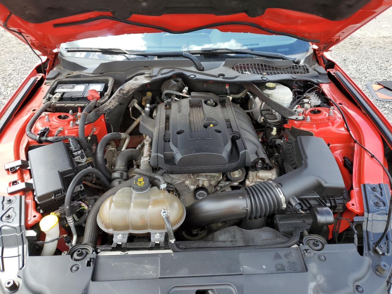 2019 Ford Mustang VIN: 1FATP8UH5K5109847 Lot: 56287815