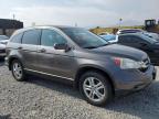 2010 Honda Cr-V Exl за продажба в Mentone, CA - Side
