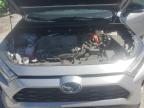 2024 Toyota Rav4 Xse for Sale in Prairie Grove, AR - Rear End