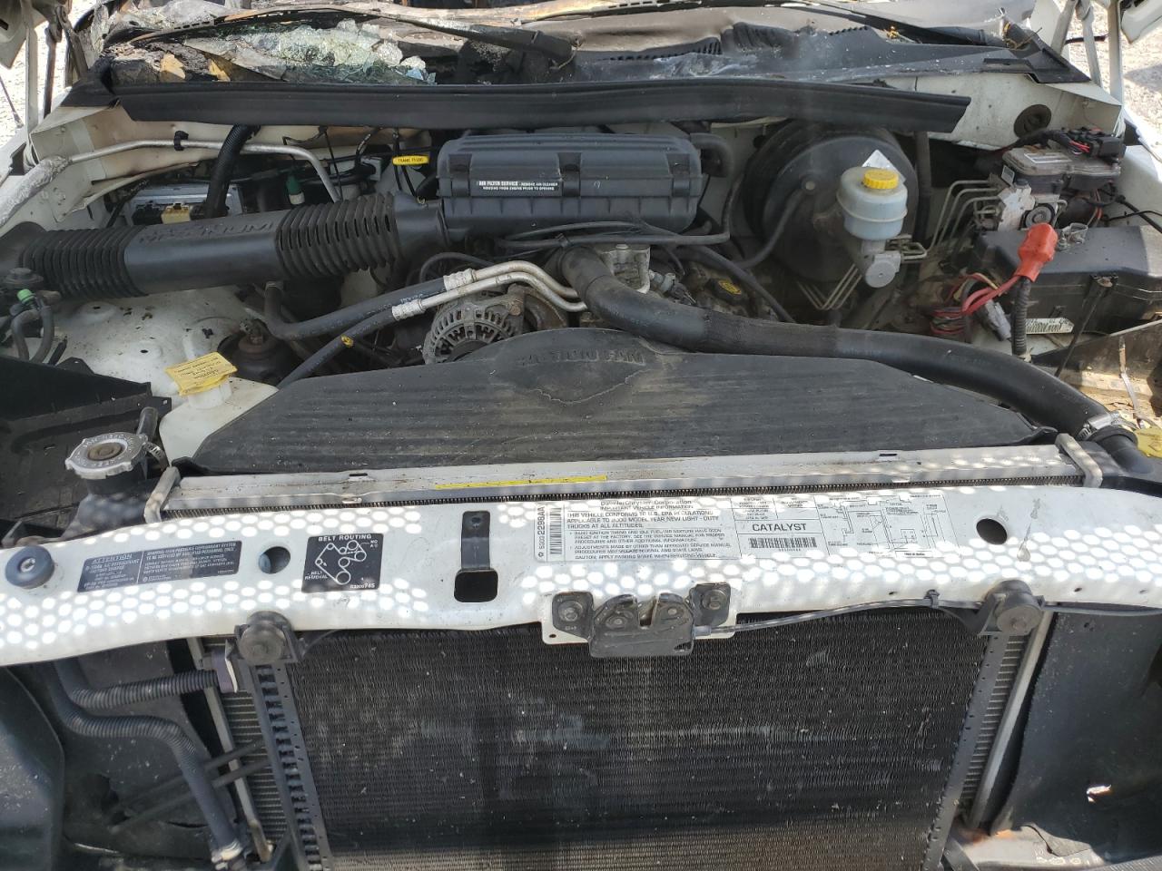 2000 Dodge Ram 1500 VIN: 1B7HF16Z4YS609413 Lot: 57460435