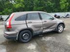 2010 Honda Cr-V Exl за продажба в Shreveport, LA - Side