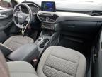 2020 Ford Escape Se за продажба в Jacksonville, FL - Front End