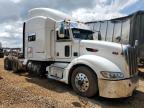 Tanner, AL에서 판매 중인 2013 Peterbilt 386 Semi Truck - Side