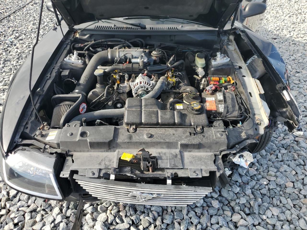 2000 Ford Mustang Gt VIN: 1FAFP42X1YF247064 Lot: 56169385