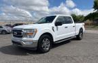 2023 Ford F150 Supercrew for Sale in Oklahoma City, OK - Minor Dent/Scratches
