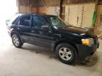 2005 Ford Escape Xlt იყიდება Rapid City-ში, SD - Normal Wear