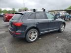 2014 Audi Q5 Premium Plus for Sale in Marlboro, NY - Front End