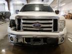 2011 Ford F150 Supercrew for Sale in Avon, MN - Front End