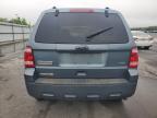 2011 Ford Escape Xlt for Sale in Glassboro, NJ - Front End