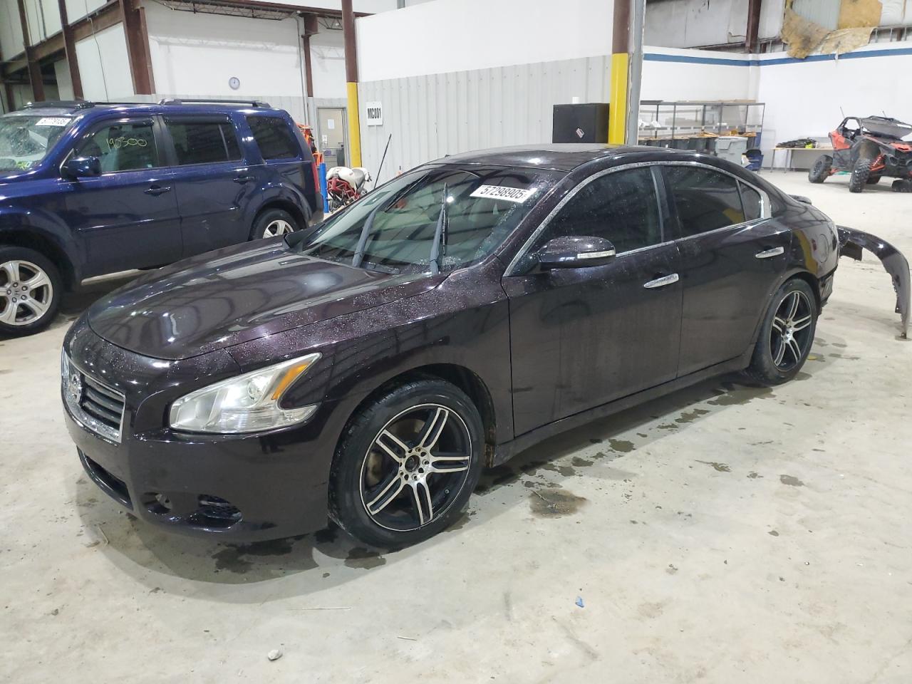 2014 Nissan Maxima S იყიდება Lawrenceburg-ში, KY - Rear End