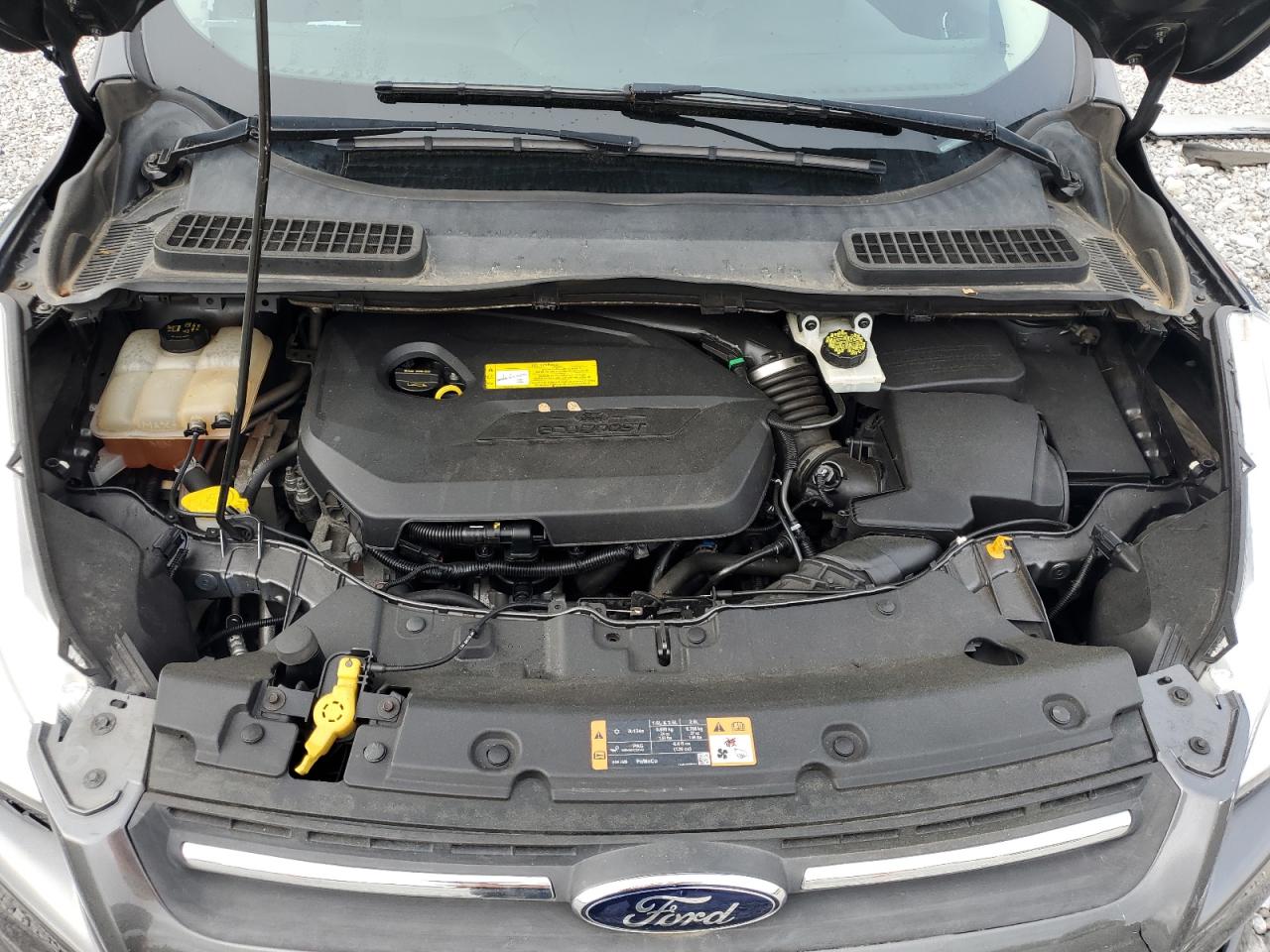 2015 Ford Escape Se VIN: 1FMCU9GX7FUB02305 Lot: 56937455