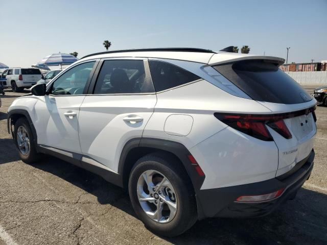  HYUNDAI TUCSON 2024 Белы