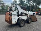 Riverview, FL에서 판매 중인 2010 Bobcat S300 - Minor Dent/Scratches