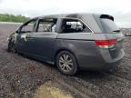 2014 Honda Odyssey Exl for Sale in Fredericksburg, VA - Burn