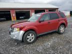 2011 Ford Escape Xlt zu verkaufen in Ebensburg, PA - Side