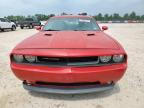 2011 Dodge Challenger  იყიდება Houston-ში, TX - Rear End