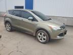 2013 Ford Escape Se na sprzedaż w Moncton, NB - Burn